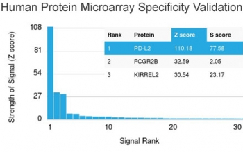 Analysis of HuProt(TM) microarray containing more than 19,000 full-length human proteins using PD-L2 antibody (clone PDL2/2676). These results demonstrate the foremost specificity of the PDL2/2676 mAb.<br>Z- and S- score: The Z-score represents the strength of a signal that an antibody (in combination with a fluorescently-tagged anti-IgG secondary Ab) produces when binding to a particular protein on the HuProt(TM) array. Z-scores are described in units of standard deviations (SD's) above the mean value of all signals generated on that array. If the targets on the HuProt(TM) are arranged in descending order of the Z-score, the S-score is the difference (also in units of SD's) between the Z-scores. The S-score therefore represents the relative target specificity of an Ab to its intended target.