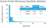 Analysis of HuProt(TM) microarray containing more than 19,000 full-length human proteins using PD-L2 antibody (clone PDL2/2676). These results demonstrate the foremost specificity of the PDL2/2676 mAb. Z- and S- score: The Z-score represents the strength of a signal that an antibody (in combination with a fluorescently-tagged anti-IgG secondary Ab) produces when binding to a particular protein on the HuProt(TM) array. Z-scores are described in units of standard deviations (SD's) above the mean value of all signals generated on that array. If the targets on the HuProt(TM) are arranged in descending order of the Z-score, the S-score is the difference (also in units of SD's) between the Z-scores. The S-score therefore represents the relative target specificity of an Ab to its intended target.