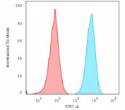Flow cytometry testing of human Ramos cells with Pan-HLA antibody (clone HLA-Pan/2967R); Red=isotype control, Blue= Pan-HLA antibody.