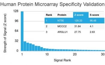 Analysis of HuProt(TM) microarray containing more than 19,000 full-length human proteins using CD73 antibody (clone NT5E/2545). These results demonstrate the foremost specificity of the NT5E/2545 mAb.<br>Z- and S- score: The Z-score represents the strength of a signal that an antibody (in combination with a fluorescently-tagged anti-IgG secondary Ab) produces when binding to a particular protein on the HuProt(TM) array. Z-scores are described in units of standard deviations (SD's) above the mean value of all signals generated on that array. If the targets on the HuProt(TM) are arranged in descending order of the Z-score, the S-score is the difference (also in units of SD's) between the Z-scores. The S-score therefore represents the relative target specificity of an Ab to its intended target.