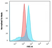 Flow cytometry testing of human U-87 MG cells with CD73 antibody (clone NT5E/2545); Red=isotype control, Blue= CD73 antibody.
