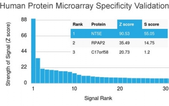 Analysis of HuProt(TM) microarray containing more than 19,000 full-length human proteins using CD73 antibody (clone NT5E/2646). These results demonstrate the foremost specificity of the NT5E/2646 mAb.<br>Z- and S- score: The Z-score represents the strength of a signal that an antibody (in combination with a fluorescently-tagged anti-IgG secondary Ab) produces when binding to a particular protein on the HuProt(TM) array. Z-scores are described in units of standard deviations (SD's) above the mean value of all signals generated on that array. If the targets on the HuProt(TM) are arranged in descending order of the Z-score, the S-score is the difference (also in units of SD's) between the Z-scores. The S-score therefore represents the relative target specificity of an Ab to its intended target.