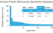 Analysis of HuProt(TM) microarray containing more than 19,000 full-length human proteins using CD73 antibody (clone NT5E/2646). These results demonstrate the foremost specificity of the NT5E/2646 mAb. Z- and S- score: The Z-score represents the strength of a signal that an antibody (in combination with a fluorescently-tagged anti-IgG secondary Ab) produces when binding to a particular protein on the HuProt(TM) array. Z-scores are described in units of standard deviations (SD's) above the mean value of all signals generated on that array. If the targets on the HuProt(TM) are arranged in descending order of the Z-score, the S-score is the difference (also in units of SD's) between the Z-scores. The S-score therefore represents the relative target specificity of an Ab to its intended target.