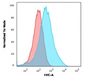 Flow cytometry testing of fixed and permeabilized human MCF-7 cells with MSH6 antibody (clone MST6-2); Red=isotype control, Blue= Estrogen Receptor alpha antibody.