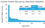Analysis of HuProt(TM) microarray containing more than 19,000 full-length human proteins using Prohibitin antibody (clone PHB/3193). These results demonstrate the foremost specificity of the PHB/3193 mAb. Z- and S- score: The Z-score represents the strength of a signal that an antibody (in combination with a fluorescently-tagged anti-IgG secondary Ab) produces when binding to a particular protein on the HuProt(TM) array. Z-scores are described in units of standard deviations (SD's) above the mean value of all signals generated on that array. If the targets on the HuProt(TM) are arranged in descending order of the Z-score, the S-score is the difference (also in units of SD's) between the Z-scores. The S-score therefore represents the relative target specificity of an Ab to its intended target.