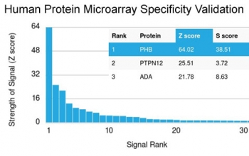 Analysis of HuProt(TM) microarray containing more than 19,000 full-length human proteins using Prohibitin antibody (clone PHB/3194). These results demonstrate the foremost specificity of the PHB/3194 mAb.<BR>Z- and S- score: The Z-score represents the strength of a signal that an antibody (in combination with a fluorescently-tagged anti-IgG secondary Ab) produces when binding to a particular protein on the HuProt(TM) array. Z-scores are described in units of standard deviations (SD's) above the mean value of all signals generated on that array. If the targets on the HuProt(TM) are arranged in descending order of the Z-score, the S-score is the difference (also in units of SD's) between the Z-scores. The S-score therefore represents the relative target specificity of an Ab to its intended target.