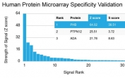 Analysis of HuProt(TM) microarray containing more than 19,000 full-length human proteins using Prohibitin antibody (clone PHB/3194). These results demonstrate the foremost specificity of the PHB/3194 mAb. Z- and S- score: The Z-score represents the strength of a signal that an antibody (in combination with a fluorescently-tagged anti-IgG secondary Ab) produces when binding to a particular protein on the HuProt(TM) array. Z-scores are described in units of standard deviations (SD's) above the mean value of all signals generated on that array. If the targets on the HuProt(TM) are arranged in descending order of the Z-score, the S-score is the difference (also in units of SD's) between the Z-scores. The S-score therefore represents the relative target specificity of an Ab to its intended target.