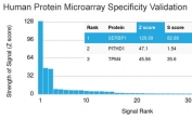 Analysis of HuProt(TM) microarray containing more than 19,000 full-length human proteins using SERBP1 antibody (clone SERBP1/3493). These results demonstrate the foremost specificity of the SERBP1/3493 mAb.<BR>Z- and S- score: The Z-score represents the strength of a signal that an antibody (in combination with a fluorescently-tagged anti-IgG secondary Ab) produces when binding to a particular protein on the HuProt(TM) array. Z-scores are described in units of standard deviations (SD's) above the mean value of all signals generated on that array. If the targets on the HuProt(TM) are arranged in descending order of the Z-score, the S-score is the difference (also in units of SD's) between the Z-scores. The S-score therefore represents the relative target specificity of an Ab to its intended target.