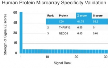 Analysis of HuProt(TM) microarray containing more than 19,000 full-length human proteins using CD4 antibody (clone CD4/3027). These results demonstrate the foremost specificity of the CD4/3027 mAb. Z- and S- score: The Z-score represents the strength of a signal that an antibody (in combination with a fluore