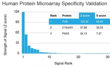 Analysis of HuProt(TM) microarray containing more than 19,000 full-length human proteins using Prohibitin antibody (clone PHB/3225). These results demonstrate the foremost specificity of the PHB/3225 mAb.<BR>Z- and S- score: The Z-score represents the strength of a signal that an antibody (in combination with a fluorescently-tagged anti-IgG secondary Ab) produces when binding to a particular protein on the HuProt(TM) array. Z-scores are described in units of standard deviations (SD's) above the mean value of all signals generated on that array. If the targets on the HuProt(TM) are arranged in descending order of the Z-score, the S-score is the difference (also in units of SD's) between the Z-scores. The S-score therefore represents the relative target specificity of an Ab to its intended target.