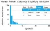 Analysis of HuProt(TM) microarray containing more than 19,000 full-length human proteins using Prohibitin antibody (clone PHB/3225). These results demonstrate the foremost specificity of the PHB/3225 mAb. Z- and S- score: The Z-score represents the strength of a signal that an antibody (in combination with a fluorescently-tagged anti-IgG secondary Ab) produces when binding to a particular protein on the HuProt(TM) array. Z-scores are described in units of standard deviations (SD's) above the mean value of all signals generated on that array. If the targets on the HuProt(TM) are arranged in descending order of the Z-score, the S-score is the difference (also in units of SD's) between the Z-scores. The S-score therefore represents the relative target specificity of an Ab to its intended target.