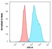 Flow cytometry testing of human Raji cells with CD20 antibody (clone MS4A1/3411); Red=isotype control, Blue= CD20 antibody.