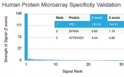 Analysis of HuProt(TM) microarray containing more than 19,000 full-length human proteins using Prolactin antibody (clone PRL/2641). These results demonstrate the foremost specificity of the PRL/2641 mAb. Z- and S- score: The Z-score represents the strength of a signal that an antibody (in combination with a fluorescently-tagged anti-IgG secondary Ab) produces when binding to a particular protein on the HuProt(TM) array. Z-scores are described in units of standard deviations (SD's) above the mean value of all signals generated on that array. If the targets on the HuProt(TM) are arranged in descending order of the Z-score, the S-score is the difference (also in units of SD's) between the Z-scores. The S-score therefore represents the relative target specificity of an Ab to its intended target.