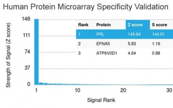 Analysis of HuProt(TM) microarray containing more than 19,000 full-length human proteins using Prolactin antibody (clone PRL/2641). These results demonstrate the foremost specificity of the PRL/2641 mAb.<BR>Z- and S- score: The Z-score represents the strength of a signal that an antibody (in combination with a fluorescently-tagged anti-IgG secondary Ab) produces when binding to a particular protein on the HuProt(TM) array. Z-scores are described in units of standard deviations (SD's) above the mean value of all signals generated on that array. If the targets on the HuProt(TM) are arranged in descending order of the Z-score, the S-score is the difference (also in units of SD's) between the Z-scores. The S-score therefore represents the relative target specificity of an Ab to its intended target.