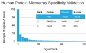 Analysis of HuProt(TM) microarray containing more than 19,000 full-length human proteins using Prohibitin antibody (clone PHB/3231). These results demonstrate the foremost specificity of the PHB/3231 mAb. Z- and S- score: The Z-score represents the strength of a signal that an antibody (in combination with a fluorescently-tagged anti-IgG secondary Ab) produces when binding to a particular protein on the HuProt(TM) array. Z-scores are described in units of standard deviations (SD's) above the mean value of all signals generated on that array. If the targets on the HuProt(TM) are arranged in descending order of the Z-score, the S-score is the difference (also in units of SD's) between the Z-scores. The S-score therefore represents the relative target specificity of an Ab to its intended target.