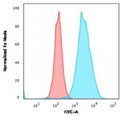 Flow cytometry testing of human Raji cells with CD20 antibody (clone MS4A1/3409); Red=isotype control, Blue= CD20 antibody.