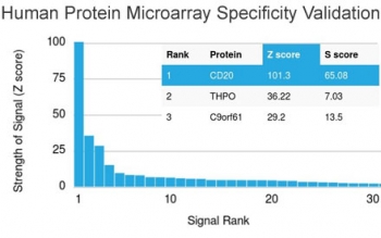 Analysis of HuProt(TM) microarray containing more than 19,000 full-length human proteins using CD20 antibody (clone MS4A1/3409). These results demonstrate the foremost specificity of the MS4A1/3409 mAb.<br>Z- and S- score: The Z-score represents the strength of a signal that an antibody (in combination with a fluorescently-tagged anti-IgG secondary Ab) produces when binding to a particular protein on the HuProt(TM) array. Z-scores are described in units of standard deviations (SD's) above the mean value of all signals generated on that array. If the targets on the HuProt(TM) are arranged in descending order of the Z-score, the S-score is the difference (also in units of SD's) between the Z-scores. The S-score therefore represents the relative target specificity of an Ab to its intended target.