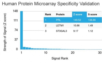 Analysis of HuProt(TM) microarray