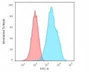 Flow cytometry testing of human Raji cells with CD20 antibody (clone L26); Red=isotype control, Blue= CD20 antibody.
