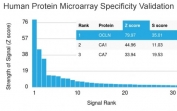 Analysis of HuProt(TM) microarray containing more than 19,000 full-length human proteins using Occludin antibody (clone OCLN/2183). These results demonstrate the foremost specificity of the OCLN/2183 mAb.<BR>Z- and S- score: The Z-score represents the strength of a signal that an antibody (in combination with a fluorescently-tagged anti-IgG secondary Ab) produces when binding to a particular protein on the HuProt(TM) array. Z-scores are described in units of standard deviations (SD's) above the mean value of all signals generated on that array. If the targets on the HuProt(TM) are arranged in descending order of the Z-score, the S-score is the difference (also in units of SD's) between the Z-scores. The S-score therefore represents the relative target specificity of an Ab to its intended target.