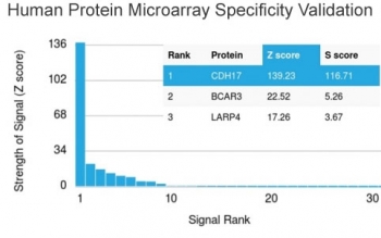 Analysis of HuProt(TM) microarray containing more than 19,000 full-length human proteins using Cadherin 17 antibody (clone CDH17/2615). These results demonstrate the foremost specificity of the CDH17/2615 mAb.<BR>Z- and S- score: The Z-score represents the strength of a signal that an antibody (in combination with a fluorescently-tagged anti-IgG secondary Ab) produces when binding to a particular protein on the HuProt(TM) array. Z-scores are described in units of standard deviations (SD's) above the mean value of all signals generated on that array. If the targets on the HuProt(TM) are arranged in descending order of the Z-score, the S-score is the difference (also in units of SD's) between the Z-scores. The S-score therefore represents the relative target specificity of an Ab to its intended target.