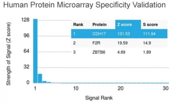 Analysis of HuProt(TM) microarray containing more than 19,000 full-length human proteins using Cadherin 17 antibody (clone CDH17/2617). These results demonstrate the foremost specificity of the CDH17/2617 mAb.<BR>Z- and S- score: The Z-score represents the strength of a signal that an antibody (in combination with a fluorescently-tagged anti-IgG secondary Ab) produces when binding to a particular protein on the HuProt(TM) array. Z-scores are described in units of standard deviations (SD's) above the mean value of all signals generated on that array. If the targets on the HuProt(TM) are arranged in descending order of the Z-score, the S-score is the difference (also in units of SD's) between the Z-scores. The S-score therefore represents the relative target specificity of an Ab to its intended target.