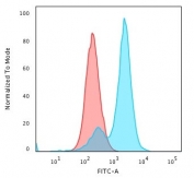 Flow cytometry testing of PFA-fixed human HeLa cells with Collagen VII antibody (clone LH7.2); Red=isotype control, Blue= LH7.2 antibody.