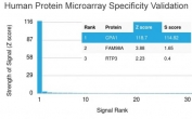 Analysis of HuProt(TM) microarray containing more than 19,000 full-length human proteins using Carboxypeptidase A1 antibody (clone CPA1/2713). These results demonstrate the foremost specificity of the CPA1/2713 mAb.<BR>Z- and S- score: The Z-score represents the strength of a signal that an antibody (in combination with a fluorescently-tagged anti-IgG secondary Ab) produces when binding to a particular protein on the HuProt(TM) array. Z-scores are described in units of standard deviations (SD's) above the mean value of all signals generated on that array. If the targets on the HuProt(TM) are arranged in descending order of the Z-score, the S-score is the difference (also in units of SD's) between the Z-scores. The S-score therefore represents the relative target specificity of an Ab to its intended target.