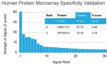 Analysis of HuProt(TM) microarray containing more than 19,000 full-length human proteins using Cathepsin D antibody (clone CTSD/3082). These results demonstrate the foremost specificity of the CTSD/3082 mAb.<BR>Z- and S- score: The Z-score represents the strength of a signal that an antibody (in combination with a fluorescently-tagged anti-IgG secondary Ab) produces when binding to a particular protein on the HuProt(TM) array. Z-scores are described in units of standard deviations (SD's) above the mean value of all signals generated on that array. If the targets on the HuProt(TM) are arranged in descending order of the Z-score, the S-score is the difference (also in units of SD's) between the Z-scores. The S-score therefore represents the relative target specificity of an Ab to its intended target.