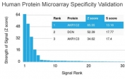 Analysis of HuProt(TM) microarray containing more than 19,000 full-length human proteins using AKR1C2 antibody (clone CPTC-AKR1C2-1). These results demonstrate the foremost specificity of the CPTC-AKR1C2-1 mAb. Z- and S- score: The Z-score represents the strength of a signal that an antibody (in combination with a fluorescently-tagged anti-IgG secondary Ab) produces when binding to a particular protein on the HuProt(TM) array. Z-scores are described in units of standard deviations (SD's) above the mean value of all signals generated on that array. If the targets on the HuProt(TM) are arranged in descending order of the Z-score, the S-score is the difference (also in units of SD's) between the Z-scores. The S-score therefore represents the relative target specificity of an Ab to its intended target.