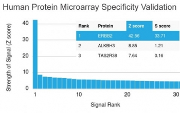 Analysis of HuProt(TM) microarray containing more than 19,000 full-length human proteins using HER2 antibody (clone ERBB2/3078). These results demonstrate the foremost specificity of the ERBB2/3078 mAb.<br>Z- and S- score: The Z-score represents the strength of a signal that an antibody (in combination with a fluorescently-tagged anti-IgG secondary Ab) produces when binding to a particular protein on the HuProt(TM) array. Z-scores are described in units of standard deviations (SD's) above the mean value of all signals generated on that array. If the targets on the HuProt(TM) are arranged in descending order of the Z-score, the S-score is the difference (also in units of SD's) between the Z-scores. The S-score therefore represents the relative target specificity of an Ab to its intended target.