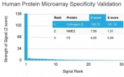 Analysis of HuProt(TM) microarray containing more than 19,000 full-length human proteins using Cathepsin D antibody (clone CTSD/3276). These results demonstrate the foremost specificity of the CTSD/3276 mAb. Z- and S- score: The Z-score represents the strength of a signal that an antibody (in combination with a fluorescently-tagged anti-IgG secondary Ab) produces when binding to a particular protein on the HuProt(TM) array. Z-scores are described in units of standard deviations (SD's) above the mean value of all signals generated on that array. If the targets on the HuProt(TM) are arranged in descending order of the Z-score, the S-score is the difference (also in units of SD's) between the Z-scores. The S-score therefore represents the relative target specificity of an Ab to its intended target.