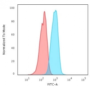 Flow cytometry testing of PFA-fixed human MCF7 cells with HER-4 antibody (clone HFR-1); Red=isotype control, Blue= HER-4 antibody.