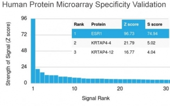 Analysis of HuProt(TM) microarray containing more than 19,000 full-length human proteins using Estrogen Receptor alpha antibody (clone ESR1/1904). These results demonstrate the foremost specificity of the ESR1/1904 mAb.<BR>Z- and S- score: The Z-score represents the strength of a signal that an antibody (in combination with a fluorescently-tagged anti-IgG secondary Ab) produces when binding to a particular protein on the HuProt(TM) array. Z-scores are described in units of standard deviations (SD's) above the mean value of all signals generated on that array. If the targets on the HuProt(TM) are arranged in descending order of the Z-score, the S-score is the difference (also in units of SD's) between the Z-scores. The S-score therefore represents the relative target specificity of an Ab to its intended target.