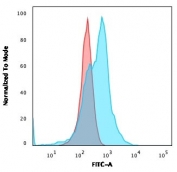 Flow cytometry testing of PFA-fixed human MOLT4 cells with recombinant CD21 antibody (clone CR2/3124R); Red=isotype control, Blue= recombinant CD21 antibody.