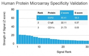 Analysis of HuProt(TM) microarray containing more than 19,000 full-length human proteins using Estrogen Receptor beta antibody (clone ESR2/3005). These results demonstrate the foremost specificity of the ESR2/3005 mAb.<BR>Z- and S- score: The Z-score represents the strength of a signal that an antibody (in c