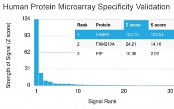 Analysis of HuProt(TM) microarray containing more than 19,000 full-length human proteins using FABP5 antibody (clone FABP5/3750). These results demonstrate the foremost specificity of the FABP5/3750 mAb.<BR>Z- and S- score: The Z-score represents the strength of a signal that an antibody (in combination with a fluorescently-tagged anti-IgG secondary Ab) produces when binding to a particular protein on the HuProt(TM) array. Z-scores are described in units of standard deviations (SD's) above the mean value of all signals generated on that array. If the targets on the HuProt(TM) are arranged in descending order of the Z-score, the S-score is the difference (also in units of SD's) between the Z-scores. The S-score therefore represents the relative target specificity of an Ab to its intended target.