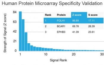Analysis of HuProt(TM) microarray containing more than 19,000 full-length human proteins using FOLH1 antibody. These results demonstrate the foremost specificity of the FOLH1/2354 mAb.<BR>Z- and S- score: The Z-score represents the strength of a signal that an antibody (in combination with a fluorescently-tagged anti-IgG secondary Ab) produces when binding to a particular protein on the HuProt(TM) array. Z-scores are described in units of standard deviations (SD's) above the mean value of all signals generated on that array. If the targets on the HuProt(TM) are arranged in descending order of the Z-score, the S-score is the difference (also in units of SD's) between the Z-scores. The S-score therefore represents the relative target specificity of an Ab to its intended target.