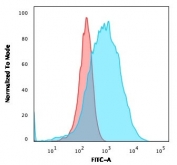 Flow cytometry testing of human U937 cells with CD15 antibody (clone SPM119); Red=isotype control, Blue= CD15 antibody.
