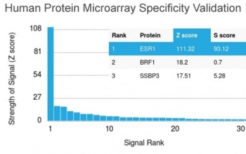 Analysis of HuProt(TM) microarray containing more than 19,000 full-length human proteins using Estrogen Receptor alpha antibody (clone ESR1/3342). These results demonstrate the foremost specificity of the ESR1/3342 mAb.<BR>Z- and S- score: The Z-score represents the strength of a signal that an antibody (in combination with a fluorescently-tagged anti-IgG secondary Ab) produces when binding to a particular protein on the HuProt(TM) array. Z-scores are described in units of standard deviations (SD's) above the mean value of all signals generated on that array. If the targets on the HuProt(TM) are arranged in descending order of the Z-score, the S-score is the difference (also in units of SD's) between the Z-scores. The S-score therefore represents the relative target specificity of an Ab to its intended target.