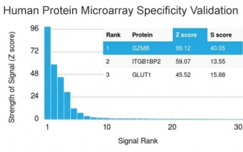 Analysis of HuProt(TM) microarray containing more than 19,000 full-length human proteins using Granzyme B antibody (clone GZMB/3056). These results demonstrate the foremost specificity of the GZMB/3056 mAb.<BR>Z- and S- score: The Z-score represents the strength of a signal that an antibody (in combination with a fluorescently-tagged anti-IgG secondary Ab) produces when binding to a particular protein on the HuProt(TM) array. Z-scores are described in units of standard deviations (SD's) above the mean value of all signals generated on that array. If the targets on the HuProt(TM) are arranged in descending order of the Z-score, the S-score is the difference (also in units of SD's) between the Z-scores. The S-score therefore represents the relative target specificity of an Ab to its intended target.