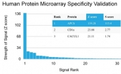 Analysis of HuProt(TM) microarray containing more than 19,000 full-length human proteins using Serum Amyloid P antibody (clone APCS/3240). These results demonstrate the foremost specificity of the APCS/3240 mAb.<BR>Z- and S- score: The Z-score represents the strength of a signal that an antibody (in combination with a fluorescently-tagged anti-IgG secondary Ab) produces when binding to a particular protein on the HuProt(TM) array. Z-scores are described in units of standard deviations (SD's) above the mean value of all signals generated on that array. If the targets on the HuProt(TM) are arranged in descending order of the Z-score, the S-score is the difference (also in units of SD's) between the Z-scores. The S-score therefore represents the relative target specificity of an Ab to its intended target.