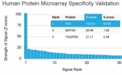 Analysis of HuProt(TM) microarray containing more than 19,000 full-length human proteins using CD95 antibody (clone FAS/3588). These results demonstrate the foremost specificity of the FAS/3588 mAb. Z- and S- score: The Z-score represents the strength of a signal that an antibody (in combination with a fluorescently-tagged anti-IgG secondary Ab) produces when binding to a particular protein on the HuProt(TM) array. Z-scores are described in units of standard deviations (SD's) above the mean value of all signals generated on that array. If the targets on the HuProt(TM) are arranged in descending order of the Z-score, the S-score is the difference (also in units of SD's) between the Z-scores. The S-score therefore represents the relative target specificity of an Ab to its intended target.