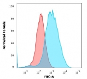 Flow cytometry testing of PFA-fixed human MCF7 cells with recombinant Plakoglobin antibody (clone rCTNG/1664); Red=isotype control, Blue= recombinant Plakoglobin antibody.