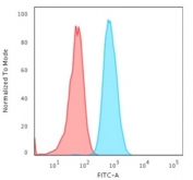 Flow cytometry testing of permeabilized human HeLa cells with Cytokeratin 4 antibody (clone KRT4/2804); Red=isotype control, Blue= Cytokeratin 4 antibody.