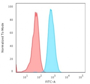 Flow cytometry testing of permeabilized human HeLa cells with Cytokeratin 4 antibody (clone KRT4/2804); Red=isotype control, Blue= Cytokeratin 4 antibody.