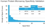 Analysis of HuProt(TM) microarray containing more than 19,000 full-length human proteins using Cytokeratin 15 antibody (clone KRT15/2957). These results demonstrate the foremost specificity of the KRT15/2957 mAb. Z- and S- score: The Z-score represents the strength of a signal that an antibody (in combination with a fluorescently-tagged anti-IgG secondary Ab) produces when binding to a particular protein on the HuProt(TM) array. Z-scores are described in units of standard deviations (SD's) above the mean value of all signals generated on that array. If the targets on the HuProt(TM) are arranged in descending order of the Z-score, the S-score is the difference (also in units of SD's) between the Z-scores. The S-score therefore represents the relative target specificity of an Ab to its intended target.