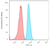 Flow cytometry testing of PFA-fixed human HeLa cells with Keratin 15 antibody (clone KRT15/2958); Red=isotype control, Blue= Keratin 15 antibody.
