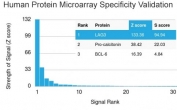 Analysis of HuProt(TM) microarray containing more than 19,000 full-length human proteins using LAG3 antibody (clone LAG3/3261). These results demonstrate the foremost specificity of the LAG3/3261 mAb. Z- and S- score: The Z-score represents the strength of a signal that an antibody (in combination with a fluorescently-tagged anti-IgG secondary Ab) produces when binding to a particular protein on the HuProt(TM) array. Z-scores are described in units of standard deviations (SD's) above the mean value of all signals generated on that array. If the targets on the HuProt(TM) are arranged in descending order of the Z-score, the S-score is the difference (also in units of SD's) between the Z-scores. The S-score therefore represents the relative target specificity of an Ab to its intended target.