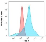 Flow cytometry testing of permeabilized human K562 cells with LMO2 antibody; Red=isotype control, Blue= LMO2 antibody.